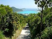 ���i����̐X�ь����̓��e�ʐ^1