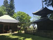 �A���x���g����̊�N���̓��e�ʐ^1