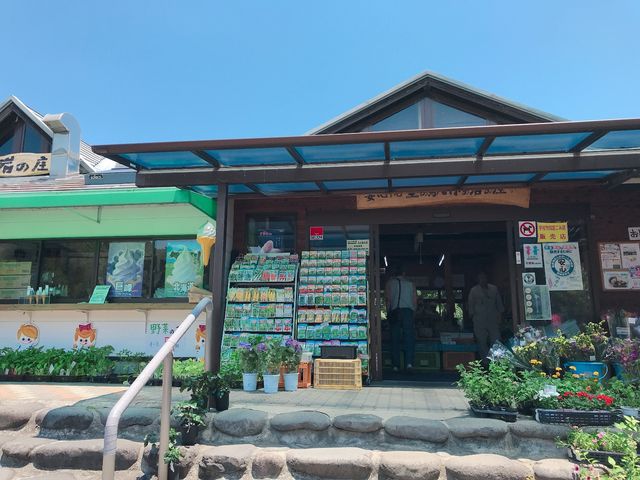 ���̊�̏�_���̊�̏�