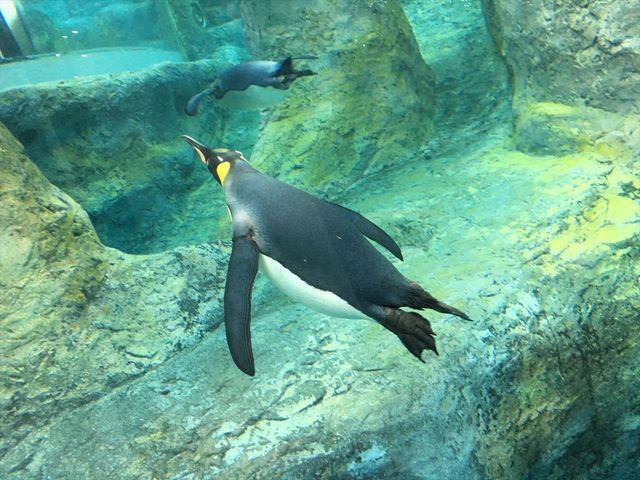 �y���M��_���R������