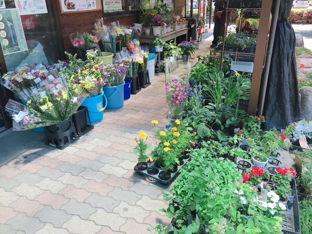 ���̊�̏�_���̊�̏�