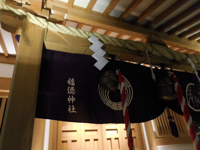 �����_��_�O�z�O�w