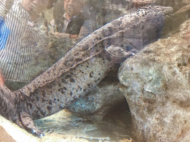 �T���V���E�E�I_���̉w����Ȃ��΋��X�e�[�V����