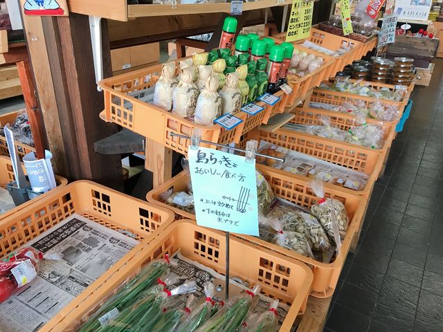 ���̉w����Ȃ�_���̉w����Ȃ��΋��X�e�[�V����