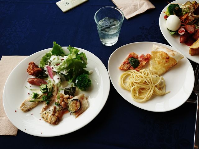 ����_�_�C�����C�l�b�g�z�e���a�̎R