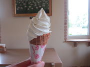 bippó`[YH[\t}[W  {X̓eʐ^1