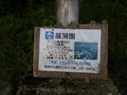 LOTTY����̎��쐼�Βn�����^���傤�Ԃ̓��e�ʐ^1