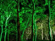 bloê͂܂ƂׂECO̓eʐ^1