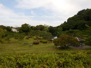 LOTTY����̎��쐼�Βn�����^�͂��̓��e�ʐ^1