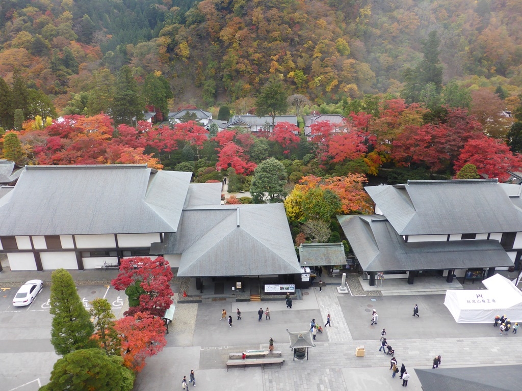 日光ひとり旅 秋におすすめスポット選 紅葉も 定番から穴場まで じゃらんニュース