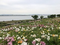 keke����̑��܂����܃V�[�T�C�h�p�[�N�ւ̓��e�ʐ^1