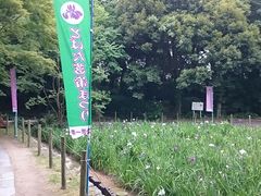 񂿂񂳂̖{̉Ԃ傤Ԃւ̓eʐ^1