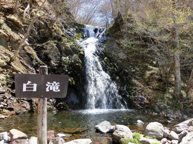 ����_�������݂����C��