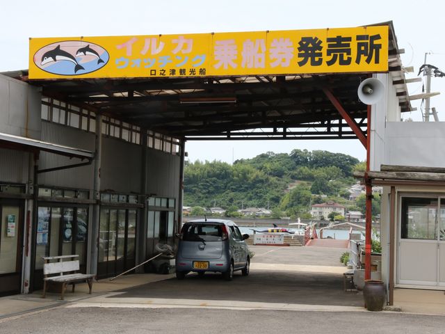 ��D�����_�C���J�E�H�b�`���O ���V�Êό��D