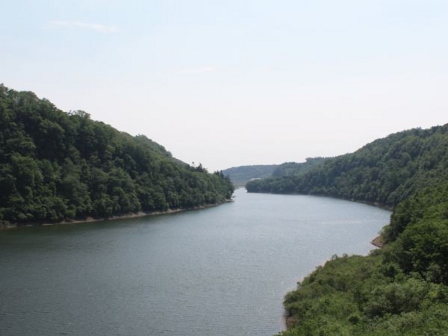 �r���̋����炪��ԗǂ������܂����B_���ɂ��