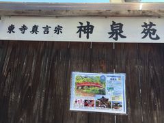 ELLE̐_򉑂ւ̓eʐ^1