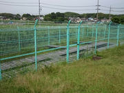 [ނ̖L̃iKomCV`\En̓eʐ^1