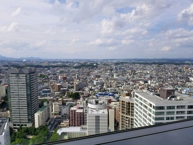 �W�]�䂩��̒��߁@_�A�G���W�]�e���X