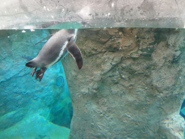 �y���M��_���R������