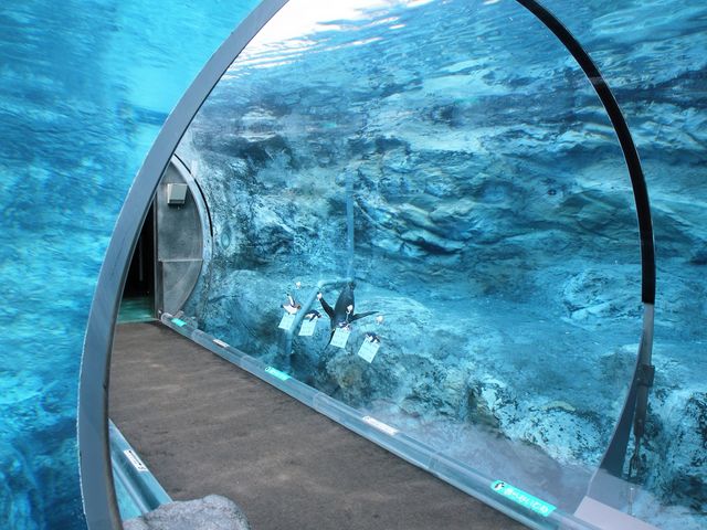 �y���M���g���l��_���R������