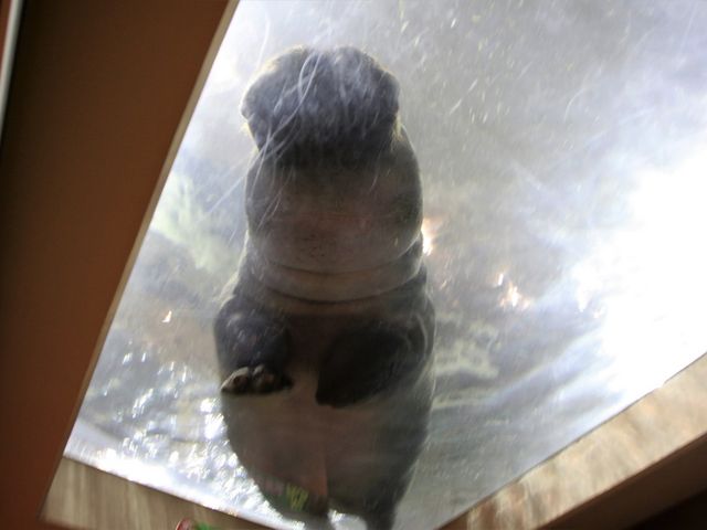 �j���J�o_���R������