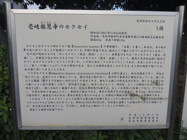 �Ԃ���񂳂�̕񉶎��̃��N�Z�C�̓��e�ʐ^1