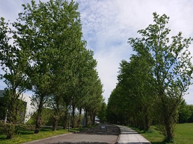 ���G��������_���G��������