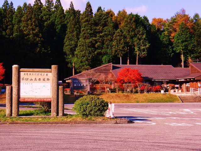 ^bN̖ʃm؃rW^[Z^[̓eʐ^1