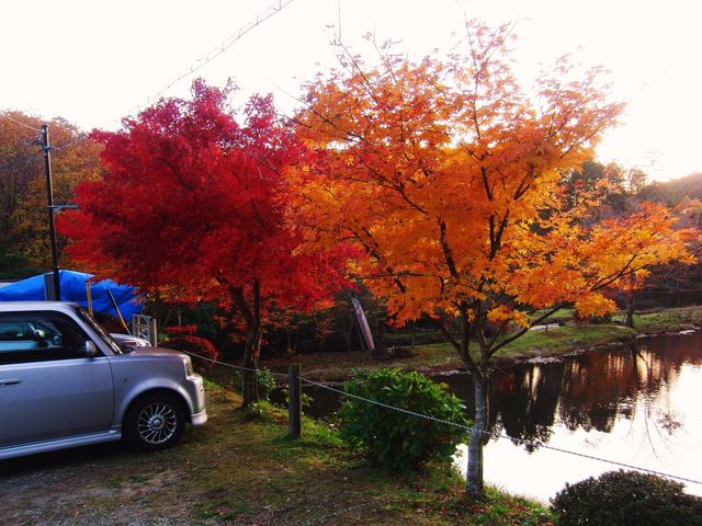 �i�ˌΕt�߂̍g�t�����ꂢ�ł�_�i�˗��J�����т����̐X