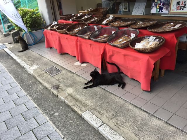 䂫Ȃ̖{ƍr_ׂ@ʓ kX̓eʐ^1