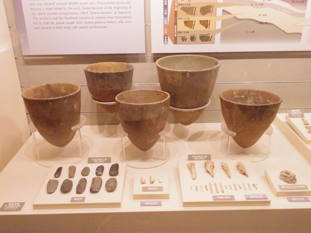 �W���i_������w������