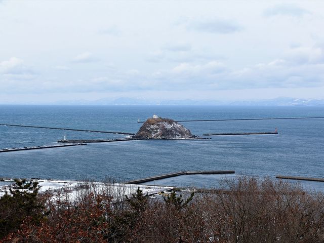 �C_�j�Ì����W�]��