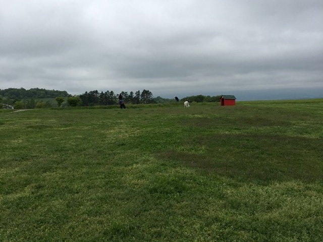 �Ђ�_���[�N�q���t�@�[��