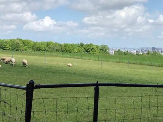 �r���u�W�]����_�����ۂ�r���u�W�]��