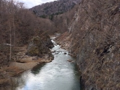 ���݂���񂳂�̒�R�k�ւ̓��e�ʐ^1