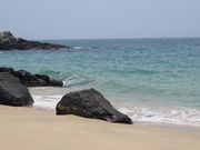 �Ԃ���񂳂�̋ѕl�C������̓��e�ʐ^1