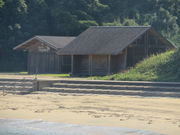 �Ԃ���񂳂�̏����l�C������̓��e�ʐ^1