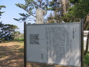 �Ԃ���񂳂�̏��󎑎��̕�̓��e�ʐ^1