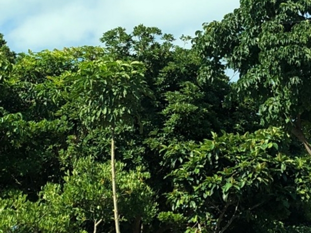 �V����_��B���R����