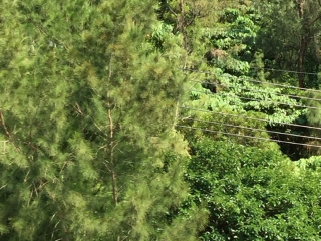 �V����_��a�̐X�V����