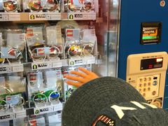 LEGOLANDiRjJapan̎ʐ^1