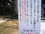 �߂���肳��̓����_�Ђ̓��e�ʐ^1