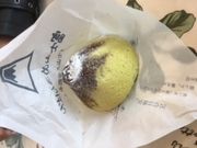 pandǎ܍XgnEX̓eʐ^1