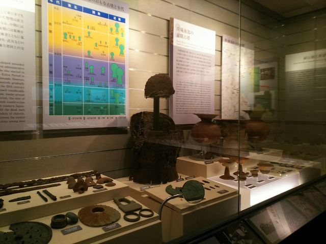 �W���i_������w������