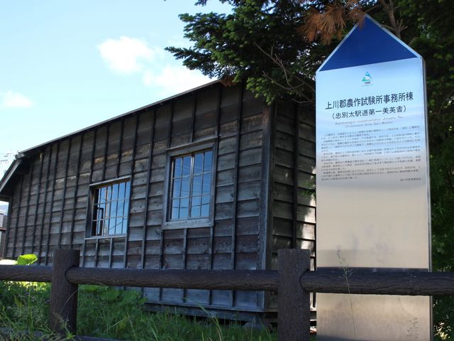 �_�쎎����i�w���j_���S�_�쎎������������