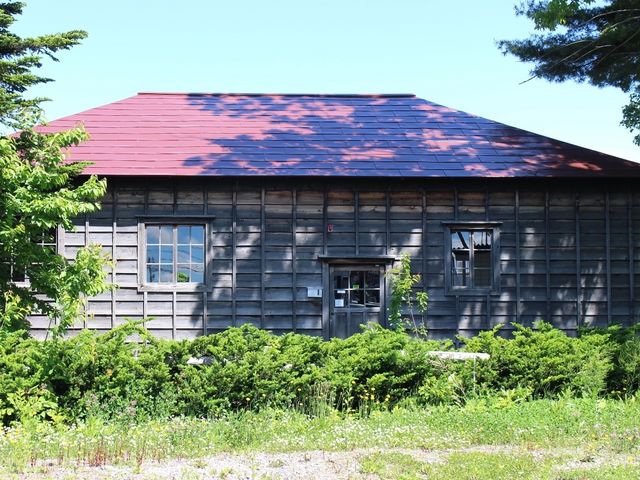 ��������_���S�_�쎎������������