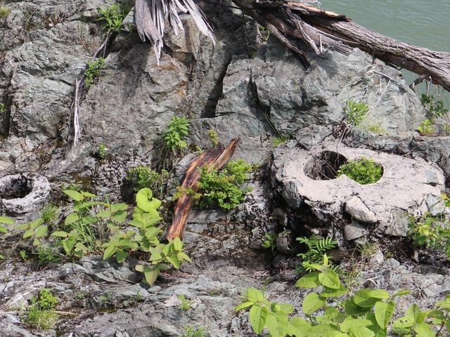 �݂苴�����Ɍ����邨����_�_�����K�������Q