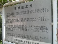 Ƃ񂳂̌IVrX|[cLւ̓eʐ^2