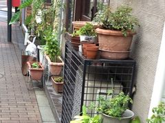 ₳̓}cJ Rwւ̓eʐ^1