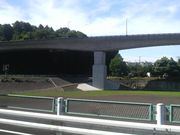 Ƃ񂳂̌IVrX|[cL̓eʐ^1